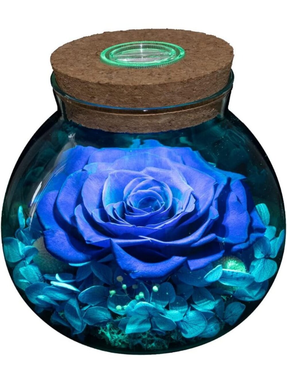 Eternal Preserved Real Roses with Colorful Mood Light - Table Decor for Gifts